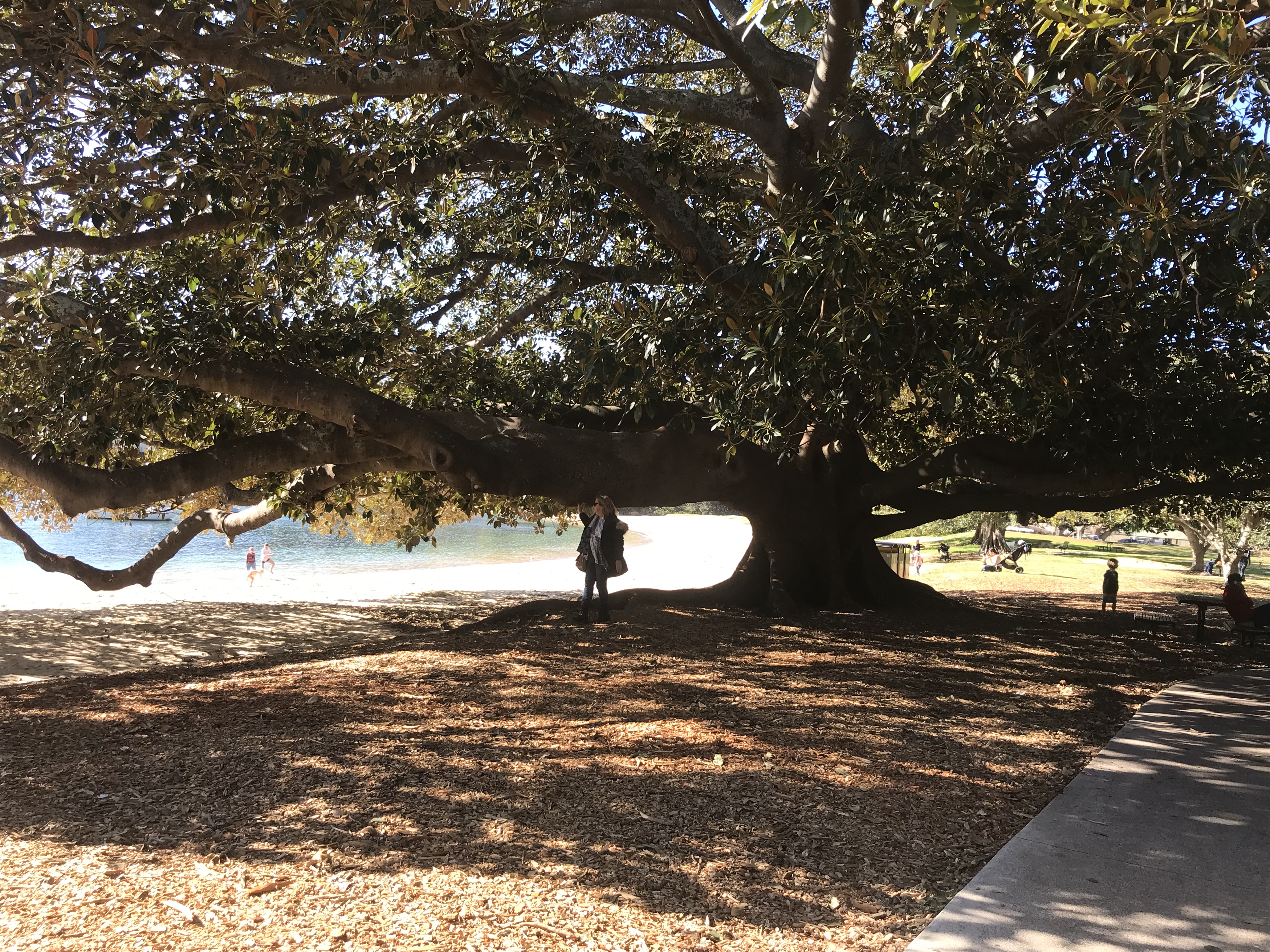 EDFB4982-2113-4488-89B5-C4783E5AC152