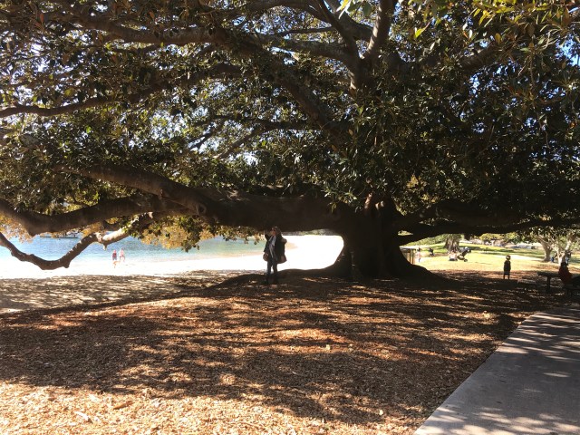 EDFB4982-2113-4488-89B5-C4783E5AC152